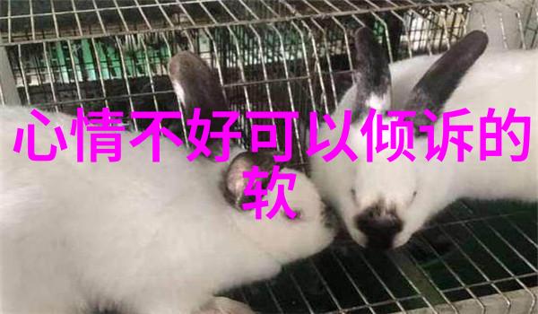 QQ群体验新篇章免费进群二维码大收藏