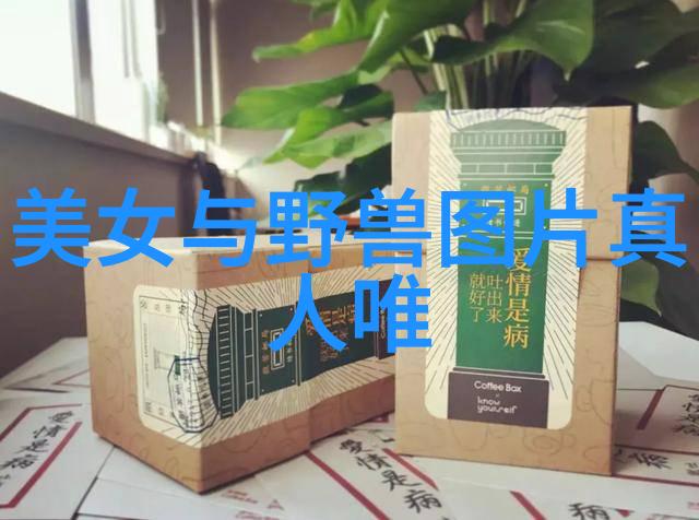 影视大师班深度解析50部经典惊悚电影