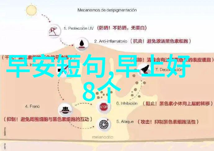 采蜜的智慧1对1的方橙秘籍