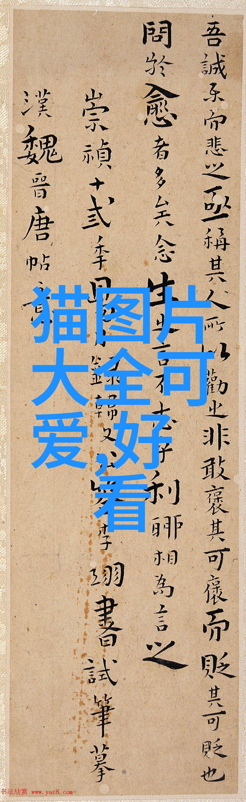 全球最恐怖片哪一部电影让观众寝食难安