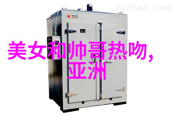 外国人眼中的金银瓶奇缘新版本探索与传统的对话