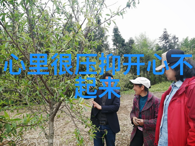 网络恐怖-深渊的镜头揭秘517恐怖网真实图片的背后