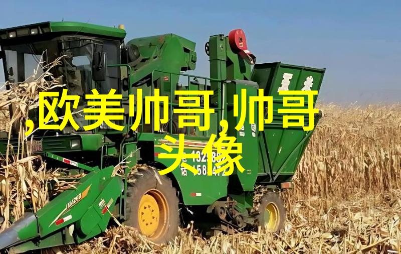 小资寸头背后的文化意义及其影响力