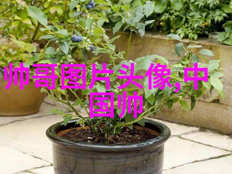 心灵的短语情感的编织