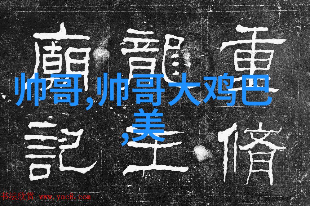光芒闪耀的明星世界我是大明星的辉煌历程