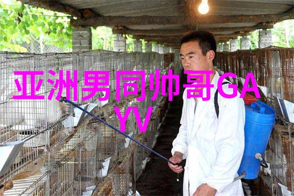 人生感悟看透人心的颤抖