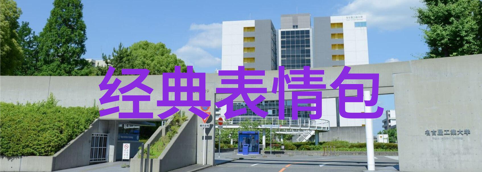 火焰如诗追溯火字在传统文化中的重要性