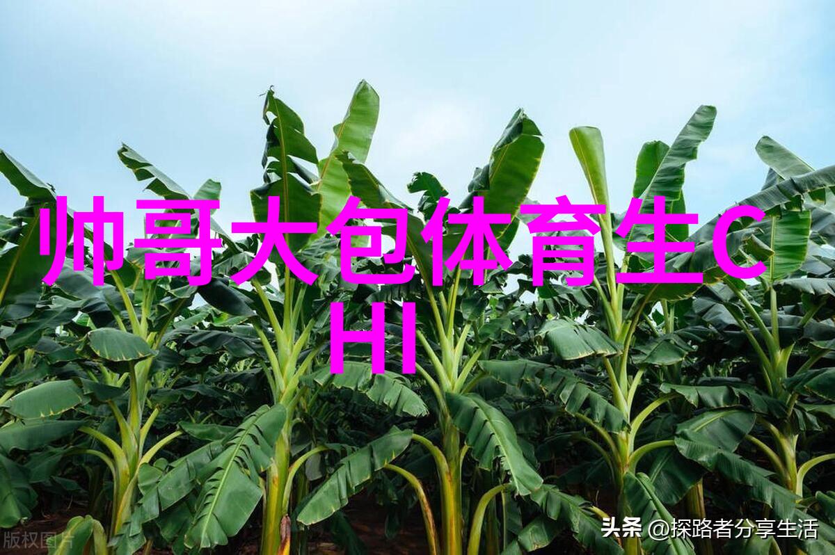 网红雪梨的个人介绍MC九局个性鲜明女朋友在侧MC九局为何不直播了