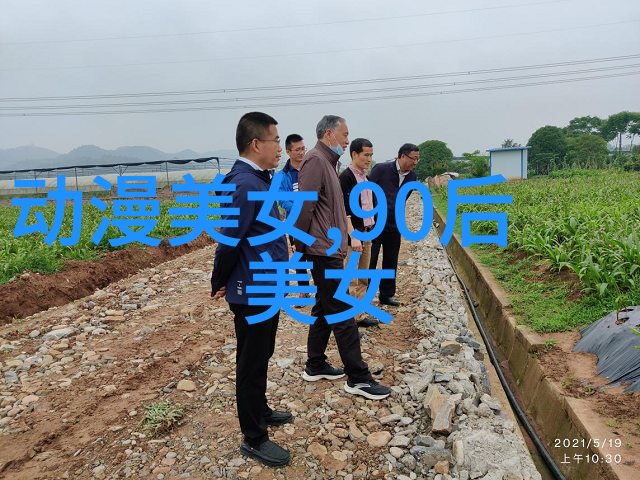 早安高质量句子我的日常语录守护者