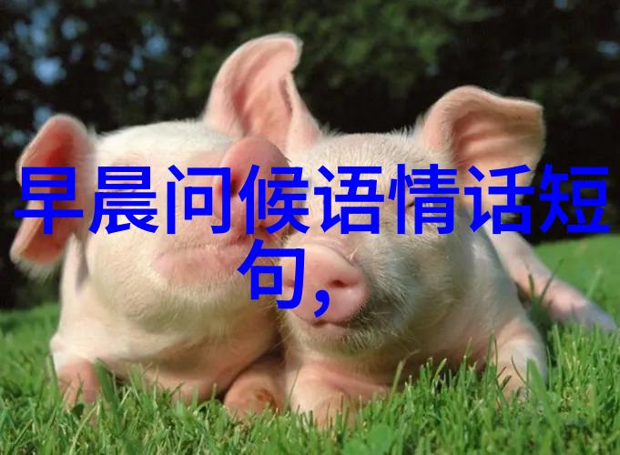 为什么说龙猫成为了经典卡通片