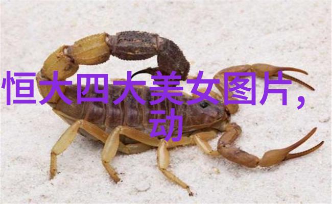 日本美女他们的魅力何在