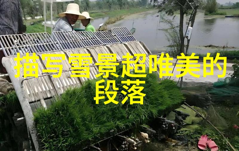 一段感情若能像这部作品般精彩纷呈那真是令人羡慕至极但现实生活中这些完美的情感互动似乎总是遥不可及还是