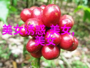 电脑开机出现英文字母开不了机-字母锁电脑启动困难的解决方案