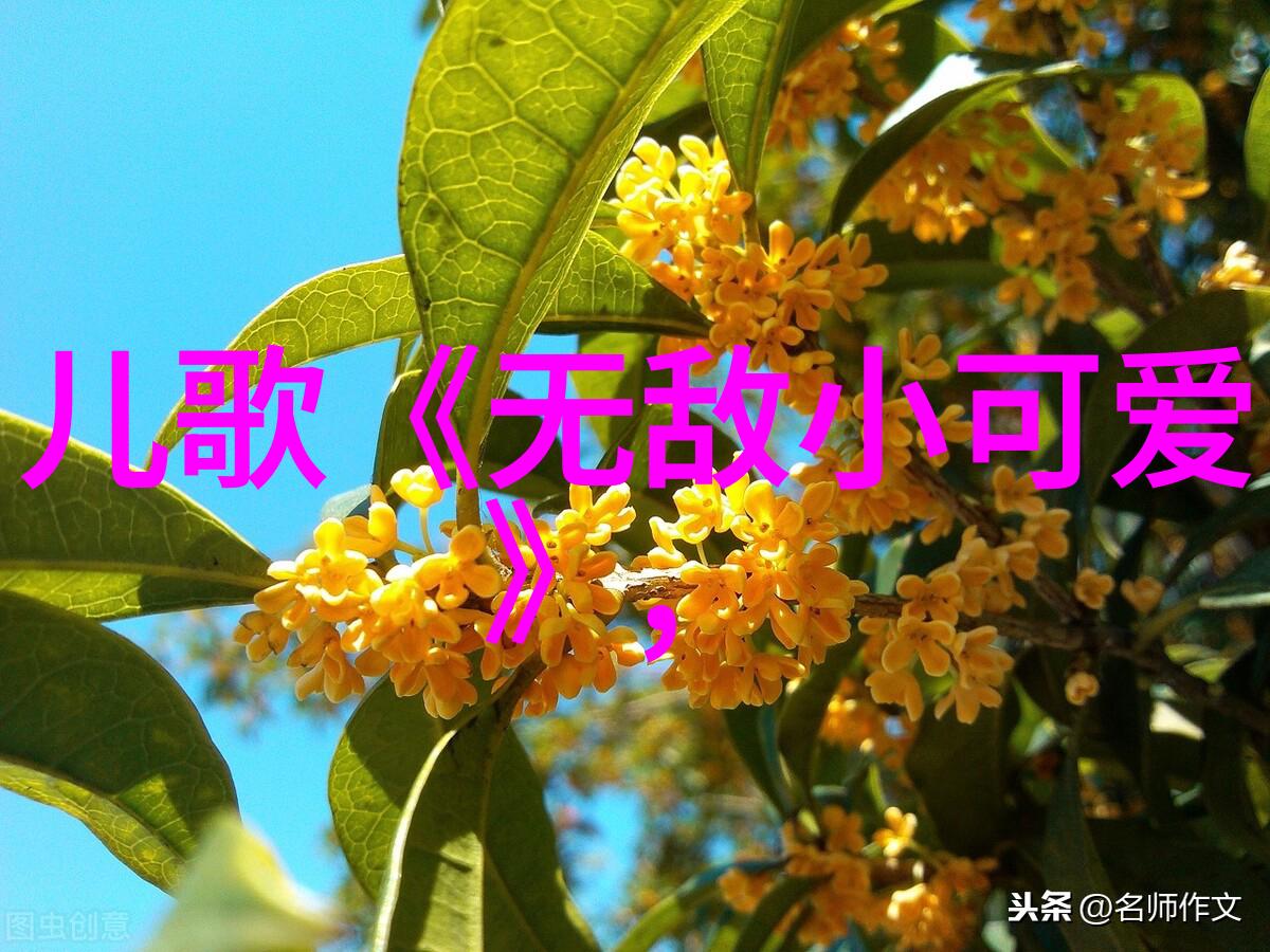 每天一条早安短句-晨曦启航心灵早晨语录集合