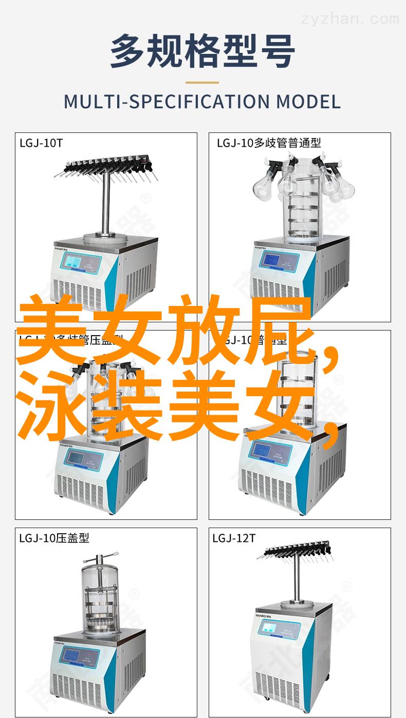 尝尝老师的大扇贝