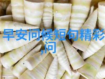 一场穿越时光的旅行追寻那位永恒不变的白袜帅哥
