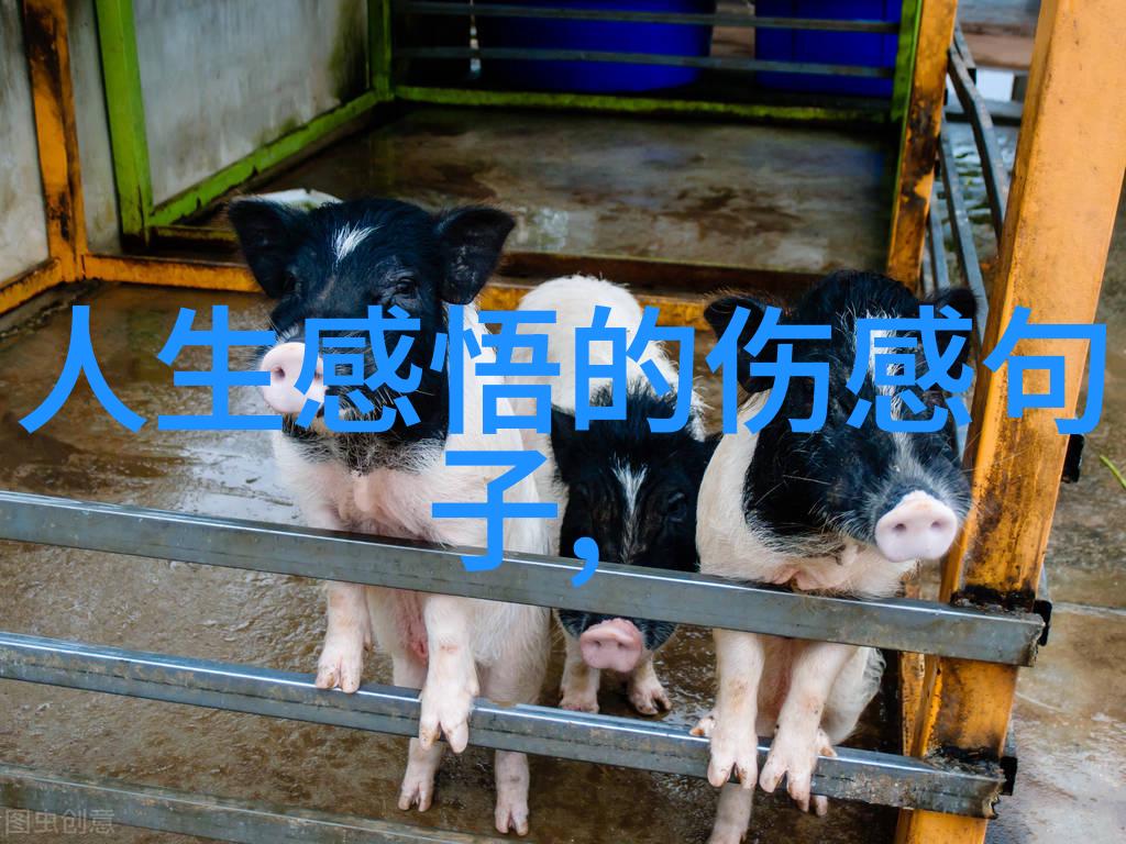 好听又冷门小众的ins风网名2018年最文艺微博昵称收藏那段时光的诗意瞬间