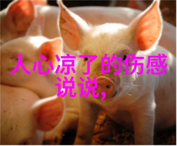深夜影幕下的恐怖游戏