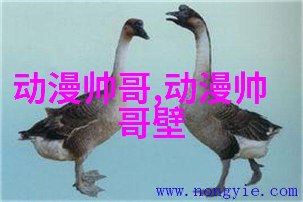 什么样的图形元素能使一幅图片既好看又可爱