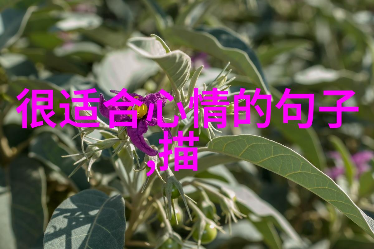 情绪崩溃的痛苦回忆伤感说说集成难过时刻的慰藉