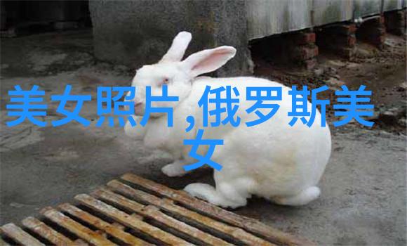 节日风情-11月的欢声笑语感受秋冬交替的节日魅力