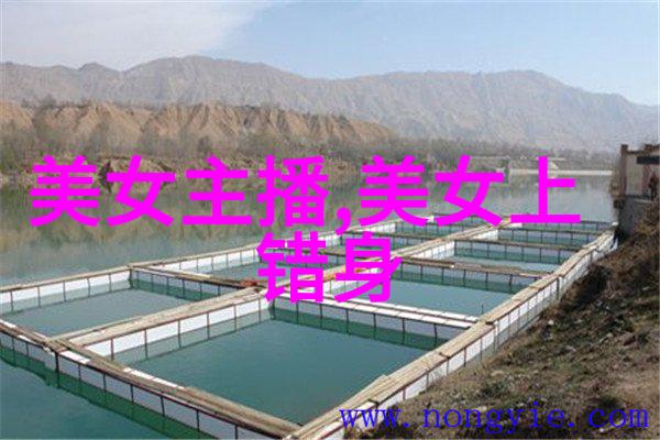 揭秘小清新网名贴吧中的中英文混搭之谜