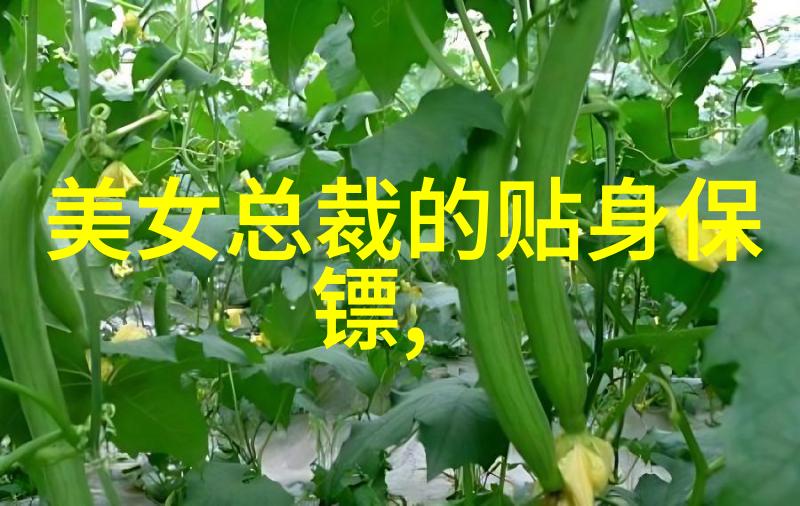 群友间的秘密