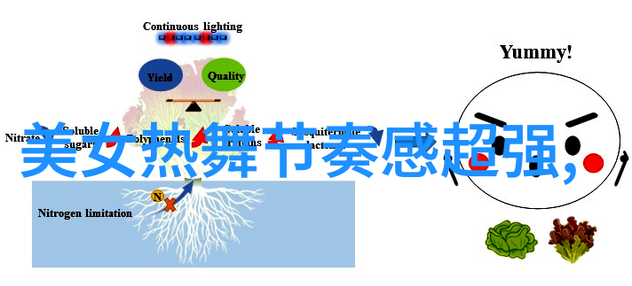 感恩节日历我的感恩之旅从每月的小确幸到一年的美好回忆