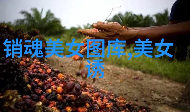 美艳如云我被美女包围的奇妙经历