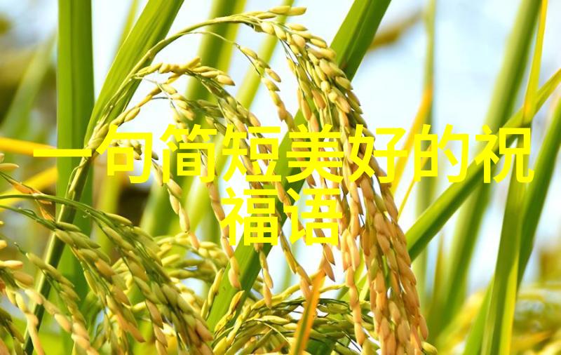 血腥惊悚揭秘史上最恐怖电影