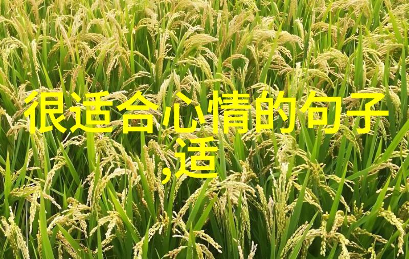 汉字之美我眼中的书香汉字的韵味与力量