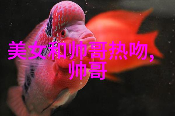 女孩图片头像探索可爱女生的魅力