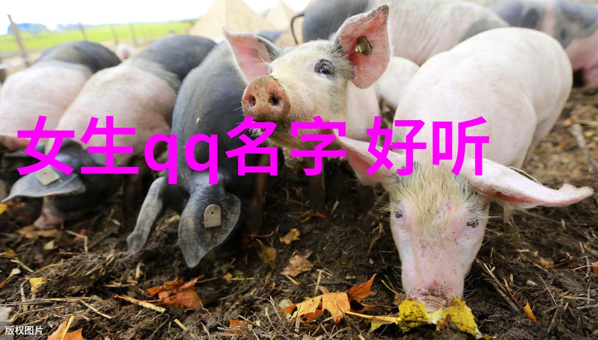四大美女在中国历史上的确切时代位置是什么又与当时文化背景有什么联系