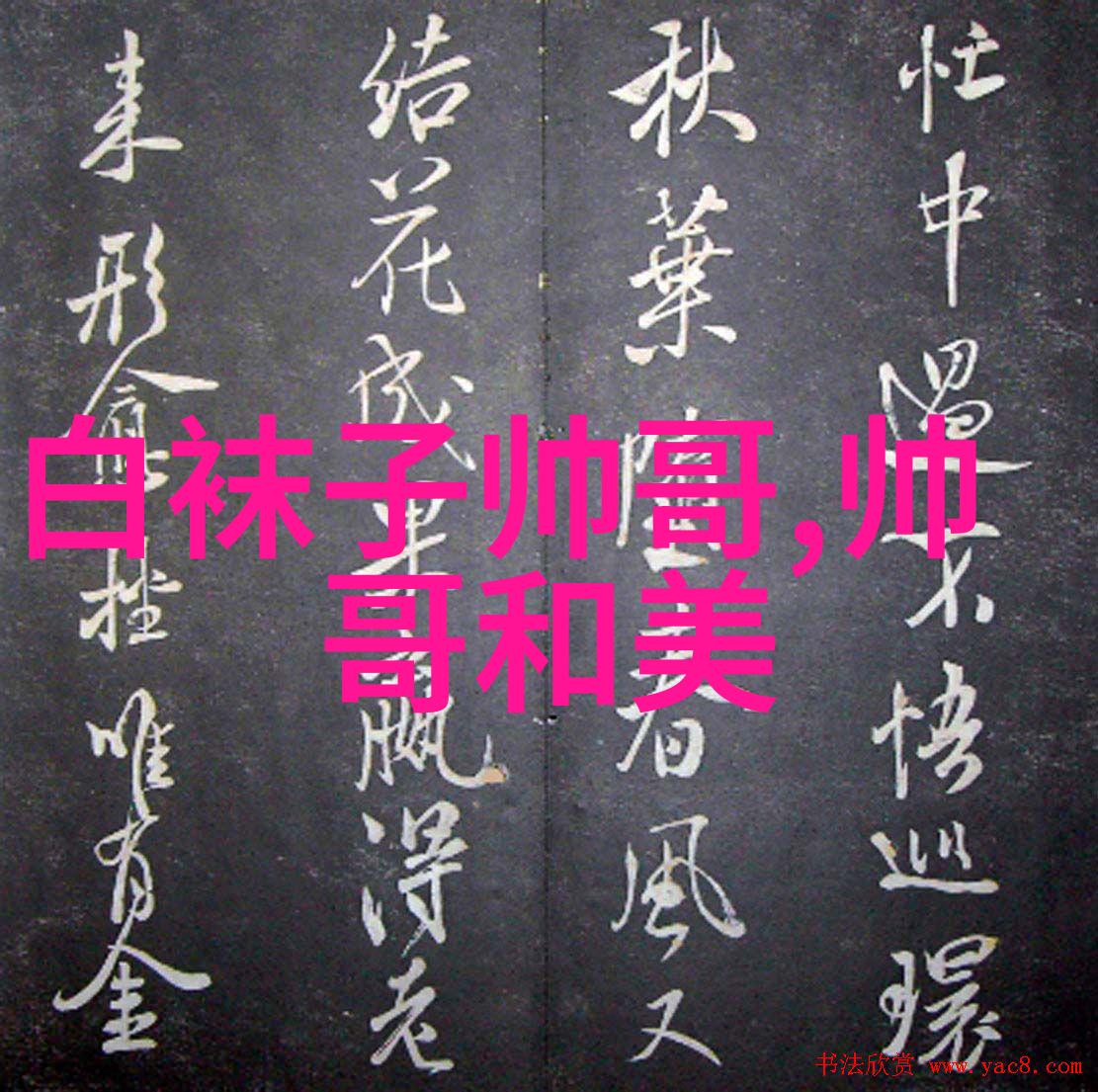 微信群大全探索社交网络中的丰富群体世界