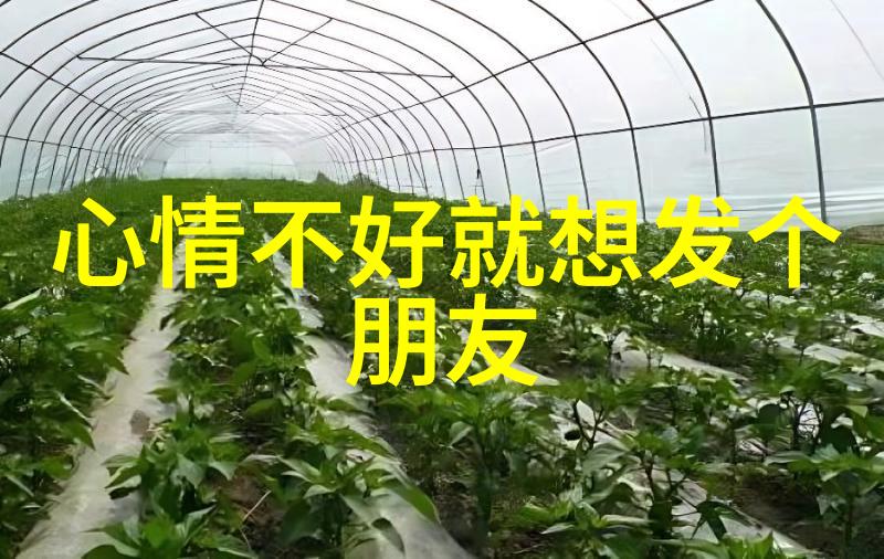 主题我加入了一个充满干劲的群名不怕苦的铁人俱乐部