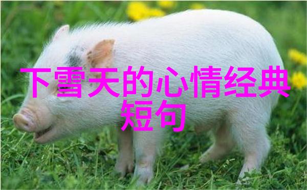 心态要好的说说句子 - 心态决定一切积极面对生活的每一个挑战