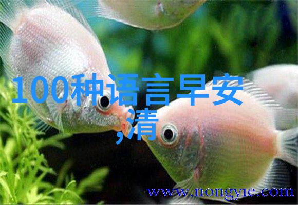 微信早晨问候阳光与微笑的开始