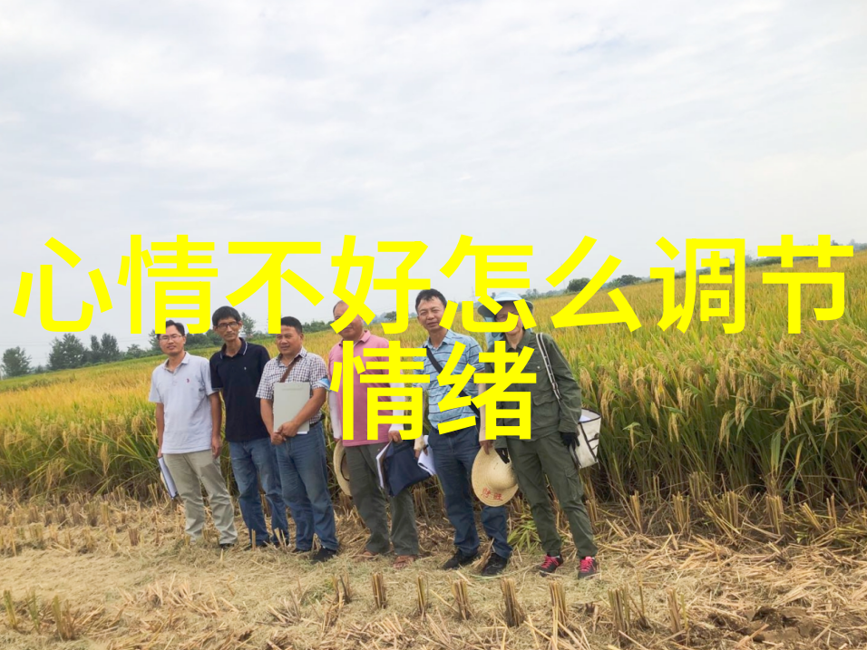超级可爱小公主女孩的纯真与魅力