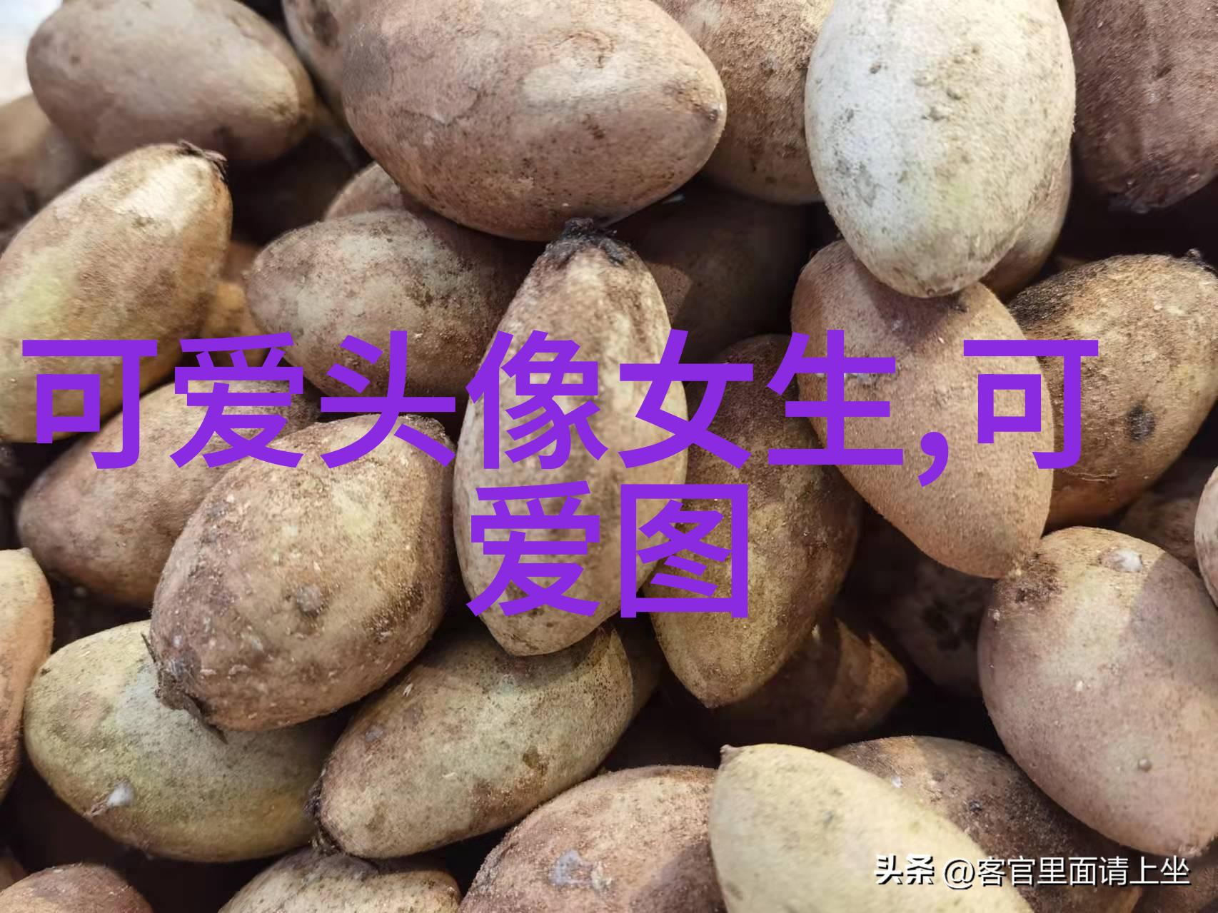 六初五端午背后的传说与文化意义
