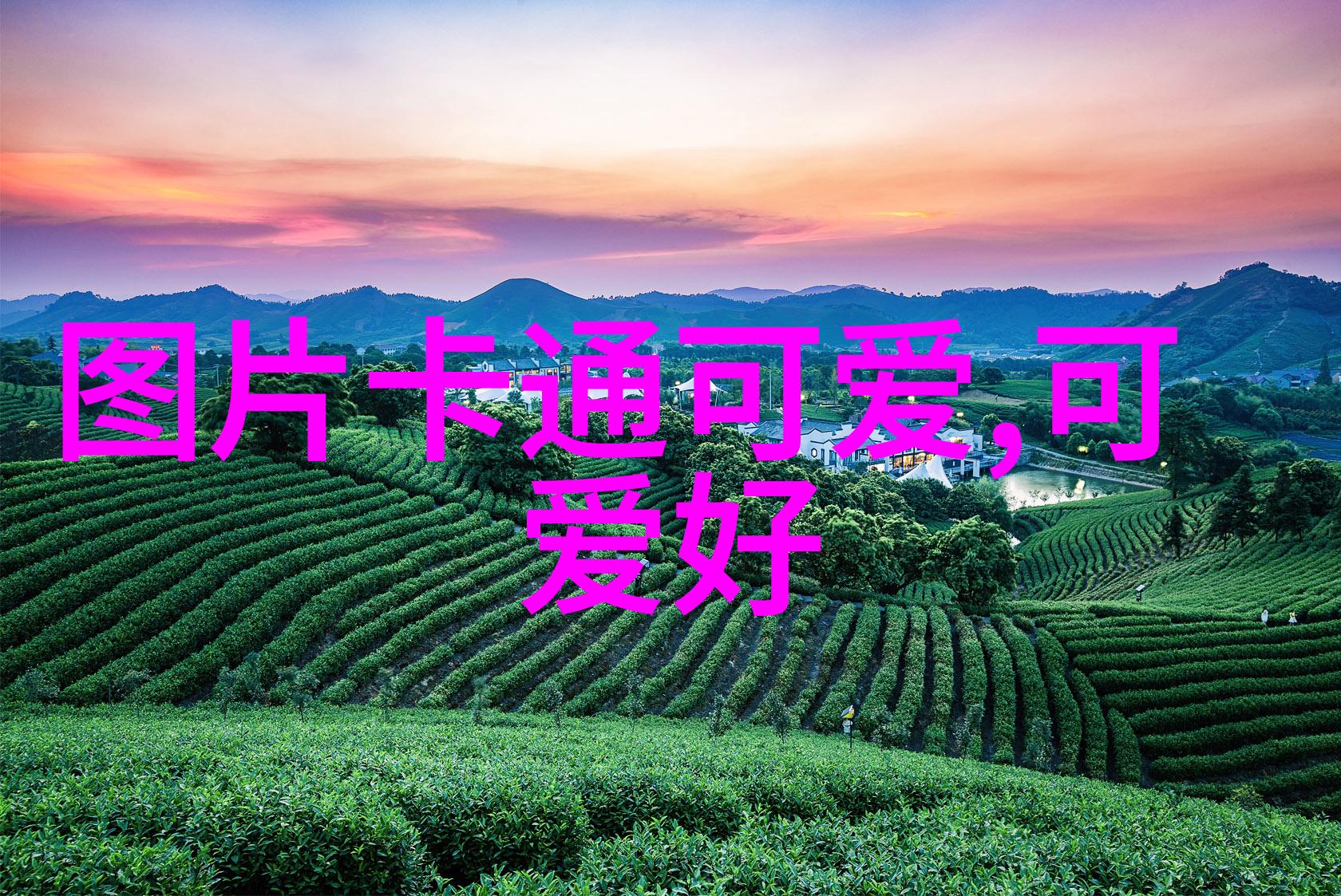 我们可以通过什么方式保护个人隐私不被OCR工具泄露信息呢