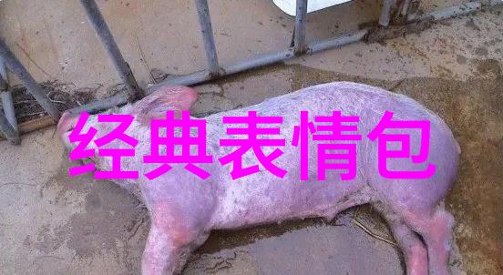 我在等你回家恋恋剧场邀您共享追剧盛宴