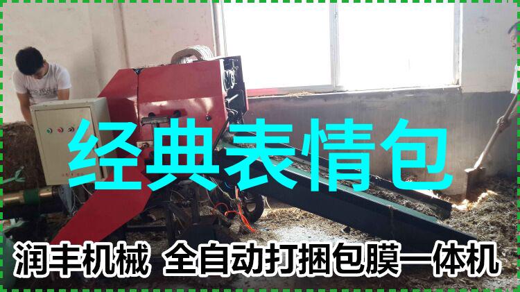 丁真-3166人物简介介绍