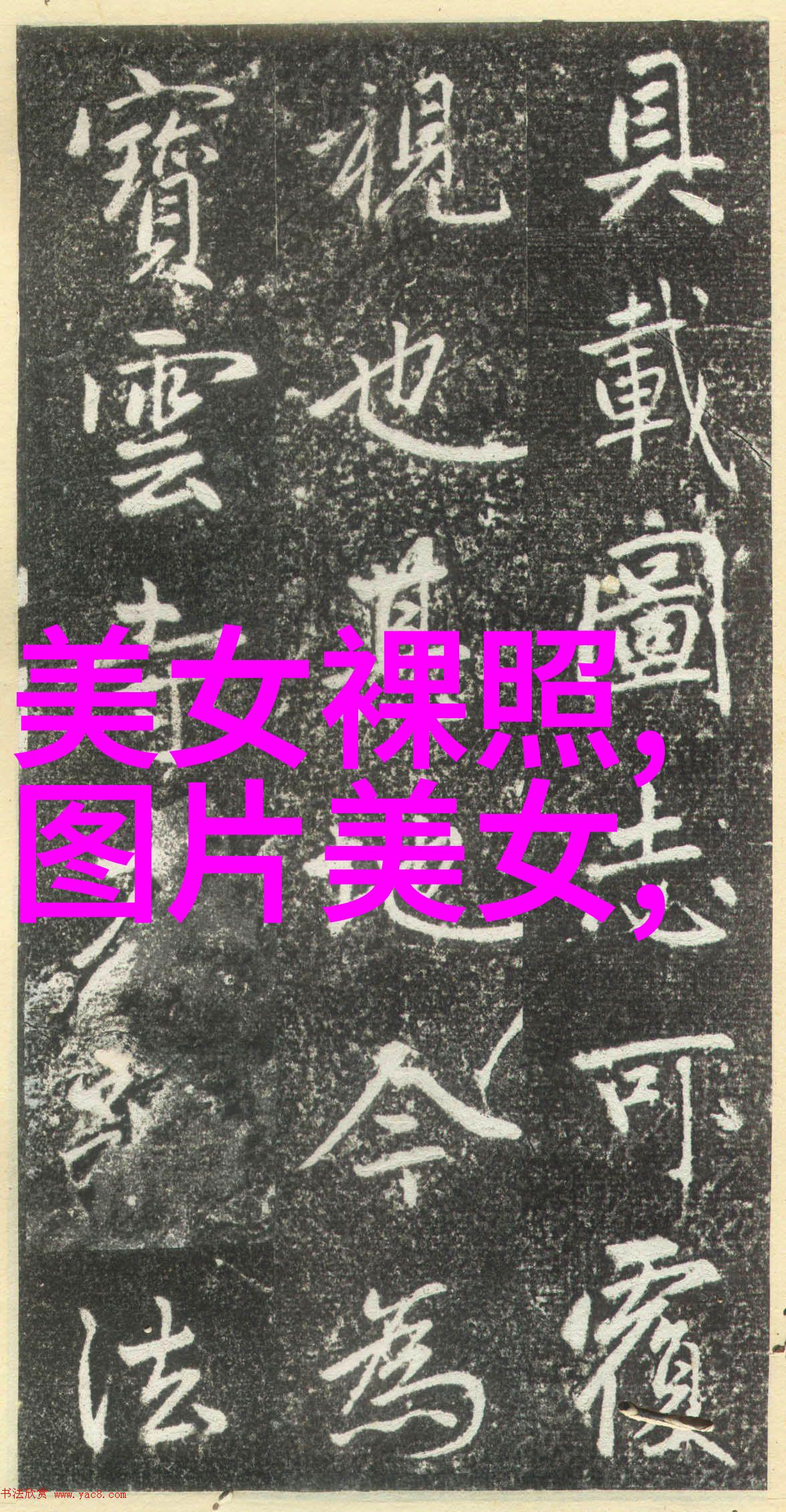 心声寄语风雨中寻找方向