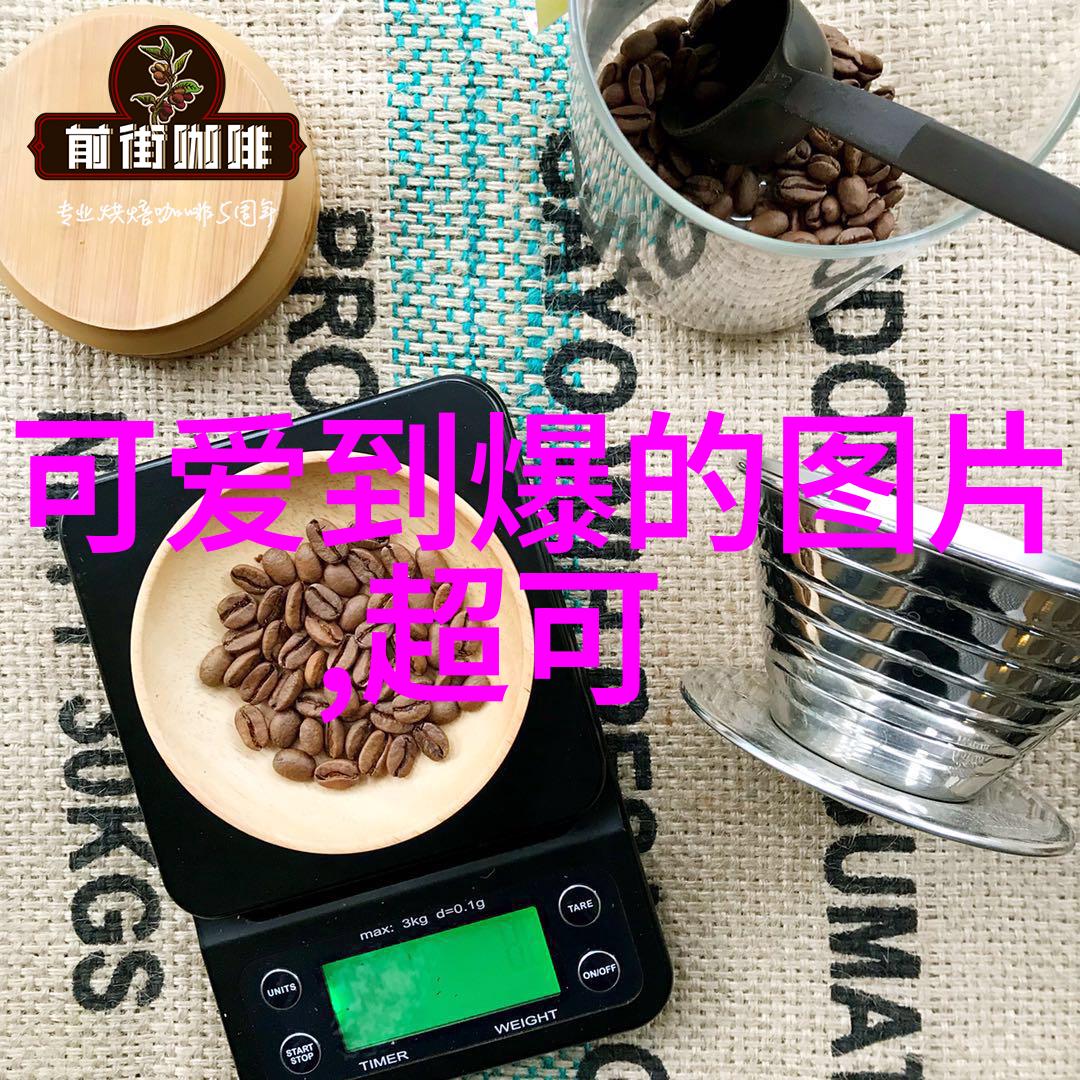绚丽的墨水探索美女与艺术的交响篇章