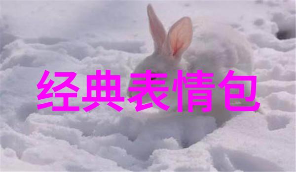 主题-白洁一夜7次爱的无限旋律