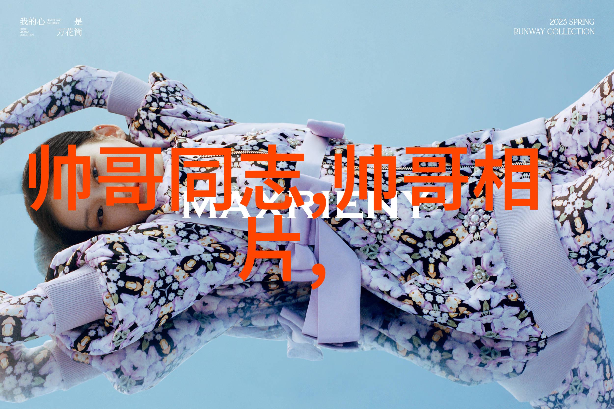 Zoom人狗视频美国网络文化的新现象
