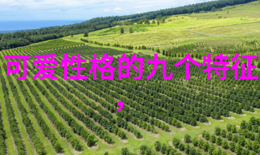 帅哥同志时尚秀场帅气男生同性恋社交活动