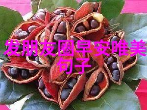 看透人情淡薄揭秘心灵深处的真相