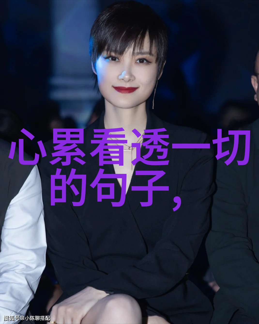 可爱动物高清图片集各种小动物的清晰美照