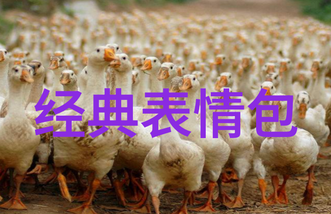 沉重的心情渺小的希望如何面对生活的压抑